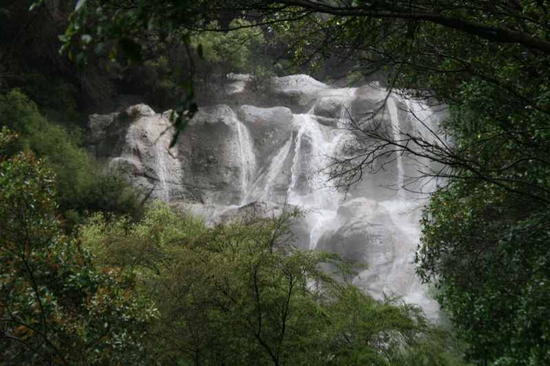 Nieuw-Zeeland 2011 - 0599